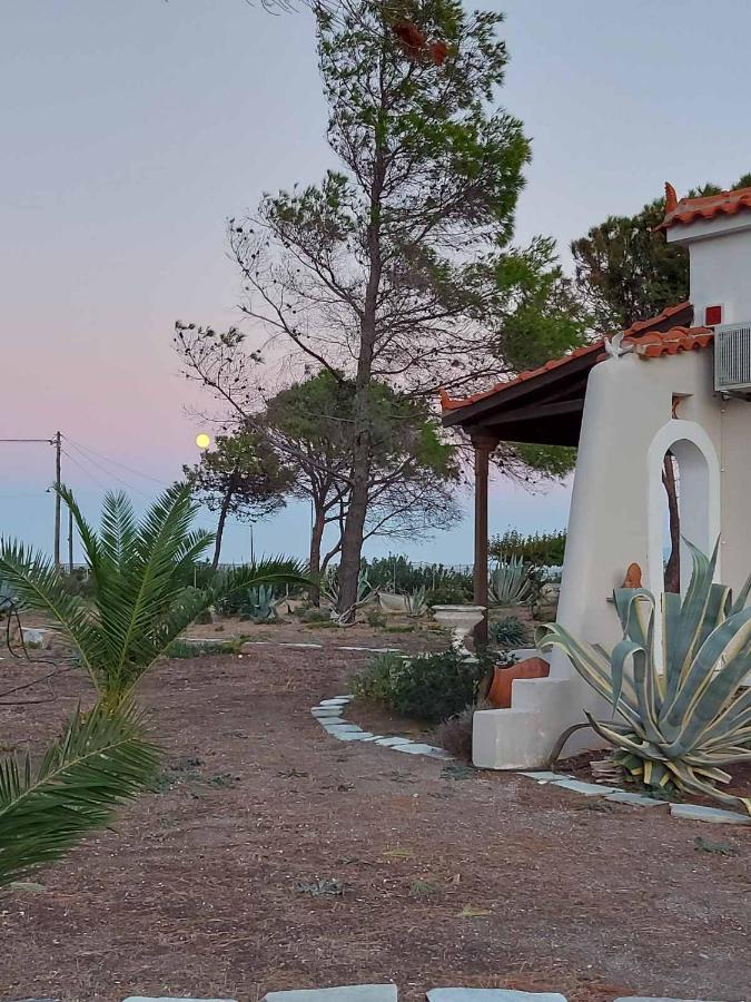 Vintage House Holiday home Agia Anna (Evia)